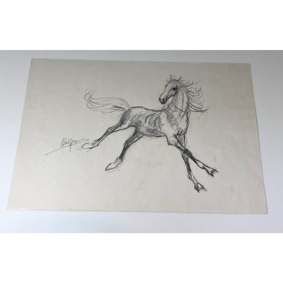 Hai Yun Signed ART HORSE SKETCH Original Frolicking Foal Colt Philly 12x18 Asian - Picture 1 of 4